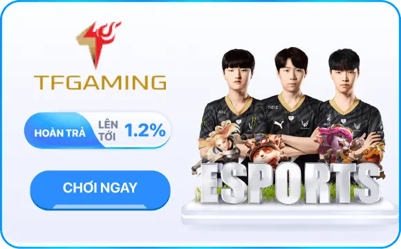 TF E-Sports